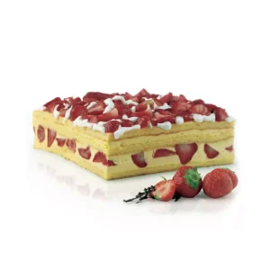Sft332 lasagnera
