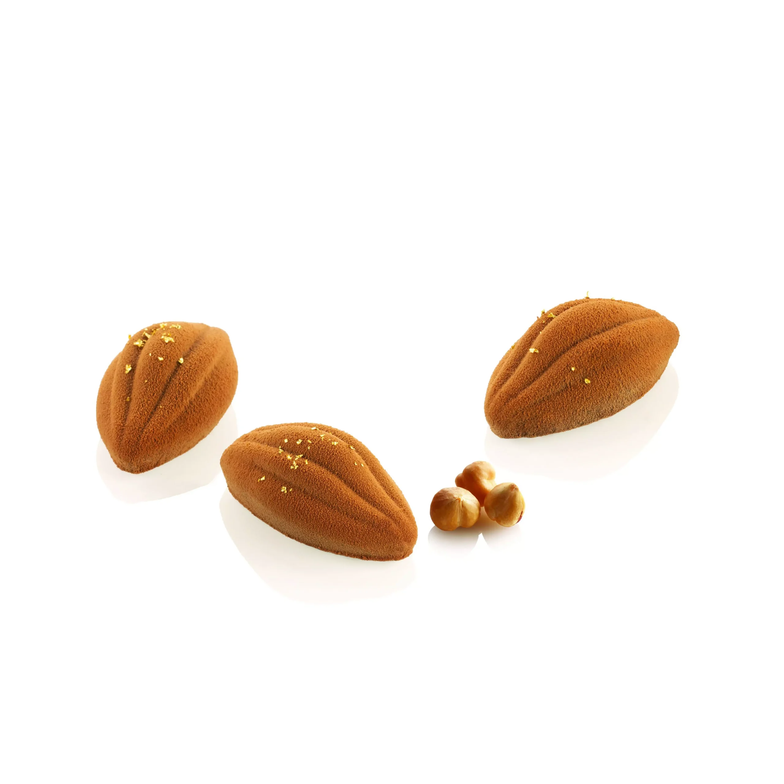 Cacao xs 12