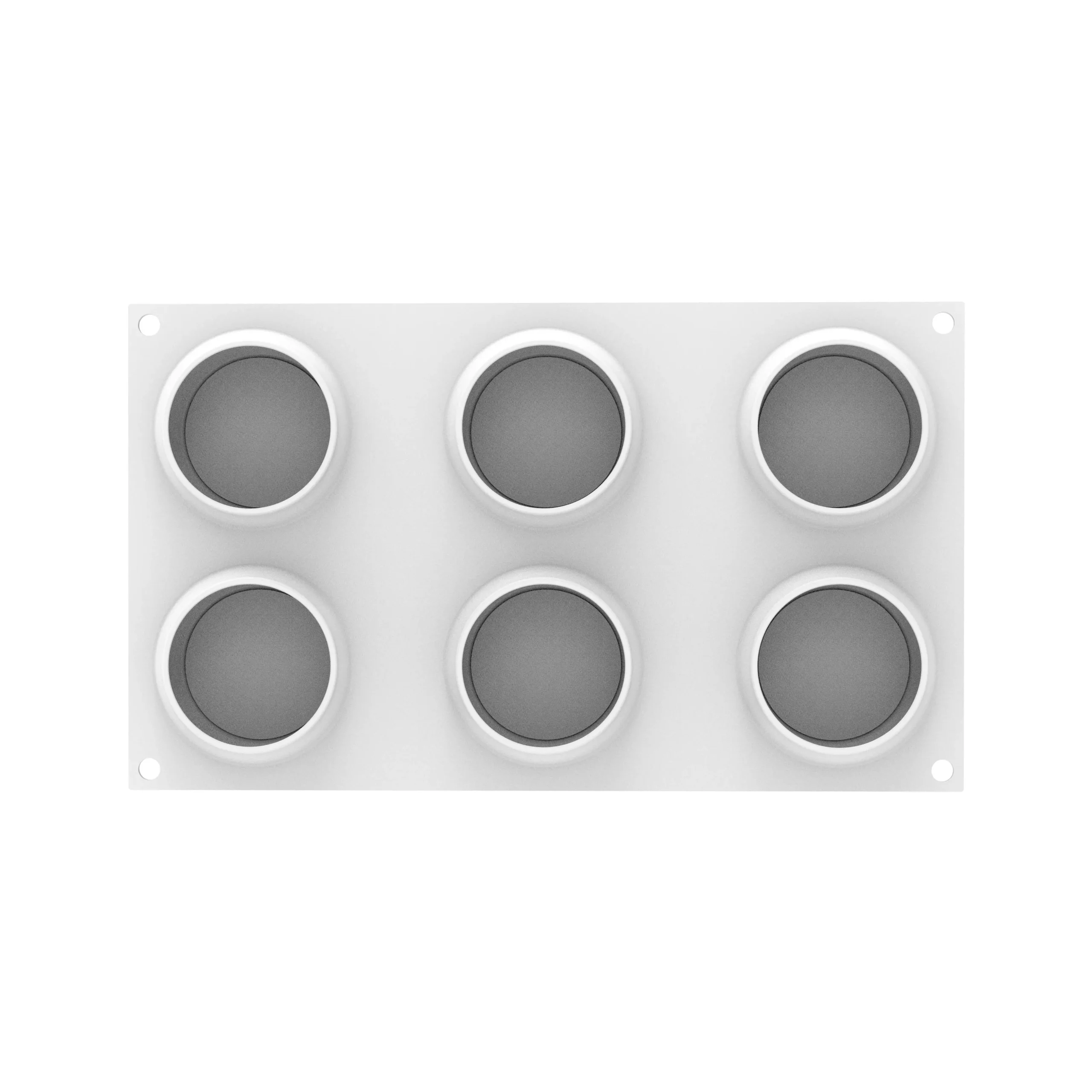 The slice of citrus 100 - الصورة 4