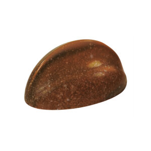 Clam