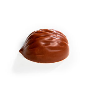 Fruitful Walnut