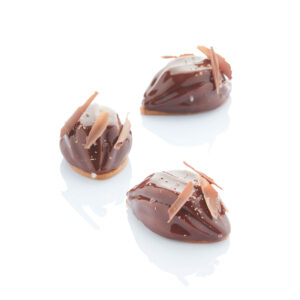 Cocoa